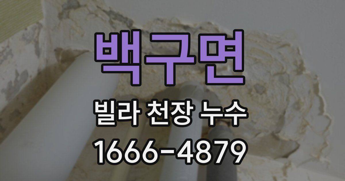 백구면 빌라 천장 누수
