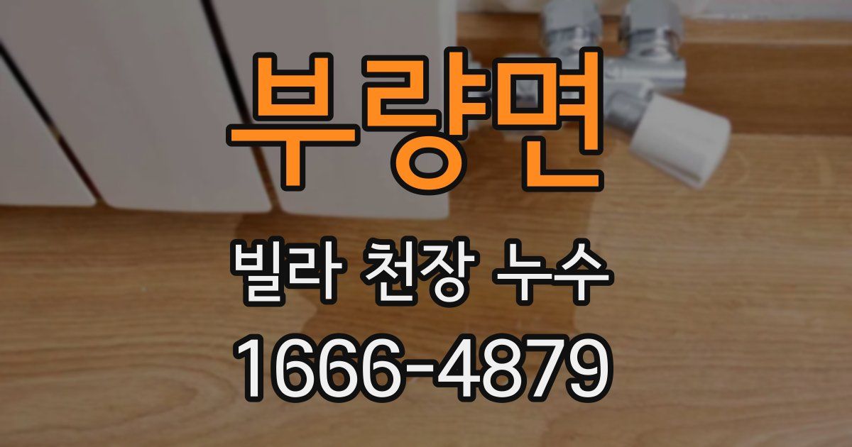부량면 빌라 천장 누수
