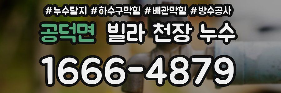 공덕면 빌라 천장 누수