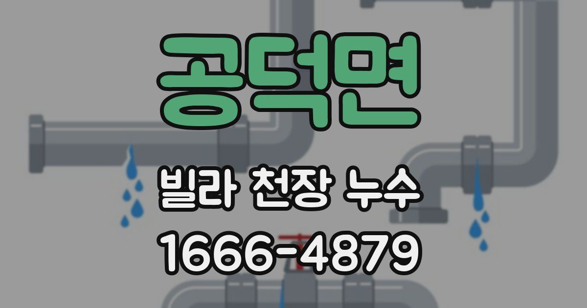공덕면 빌라 천장 누수
