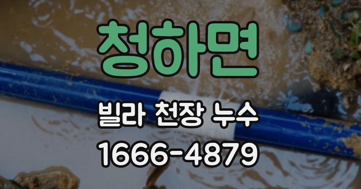 청하면 빌라 천장 누수