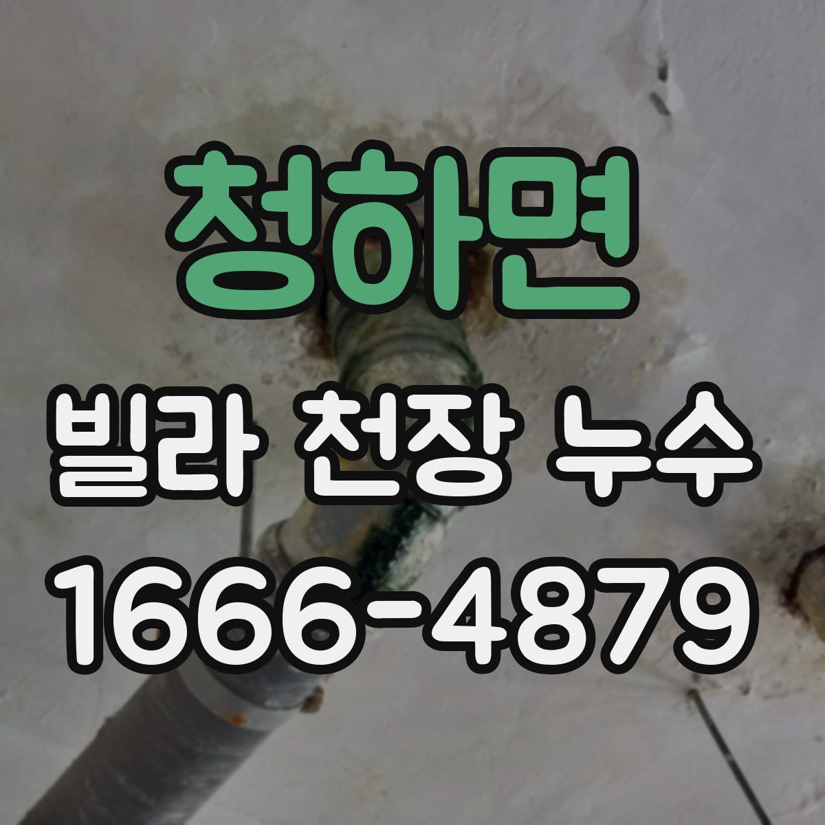 청하면 빌라 천장 누수