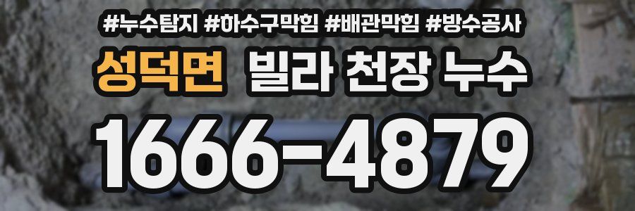 성덕면 빌라 천장 누수
