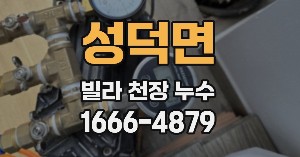 성덕면 빌라 천장 누수