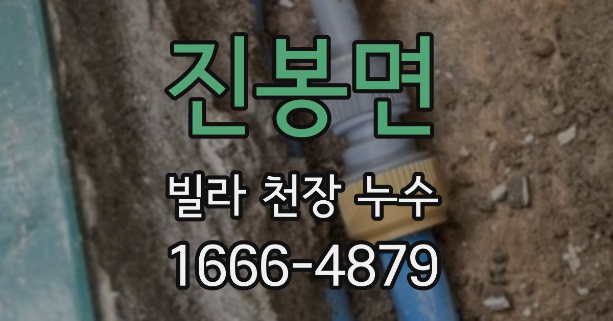 진봉면 빌라 천장 누수