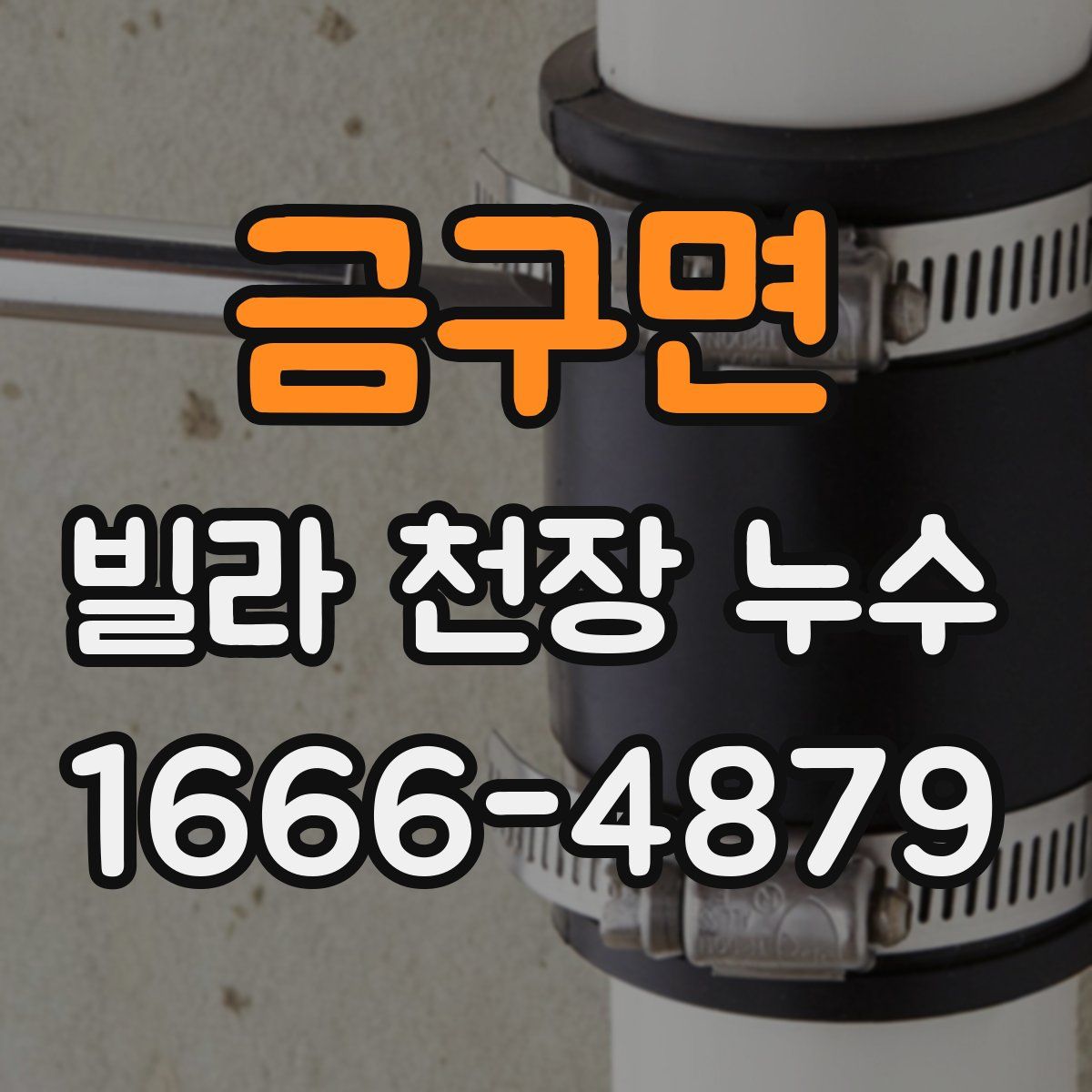 금구면 빌라 천장 누수