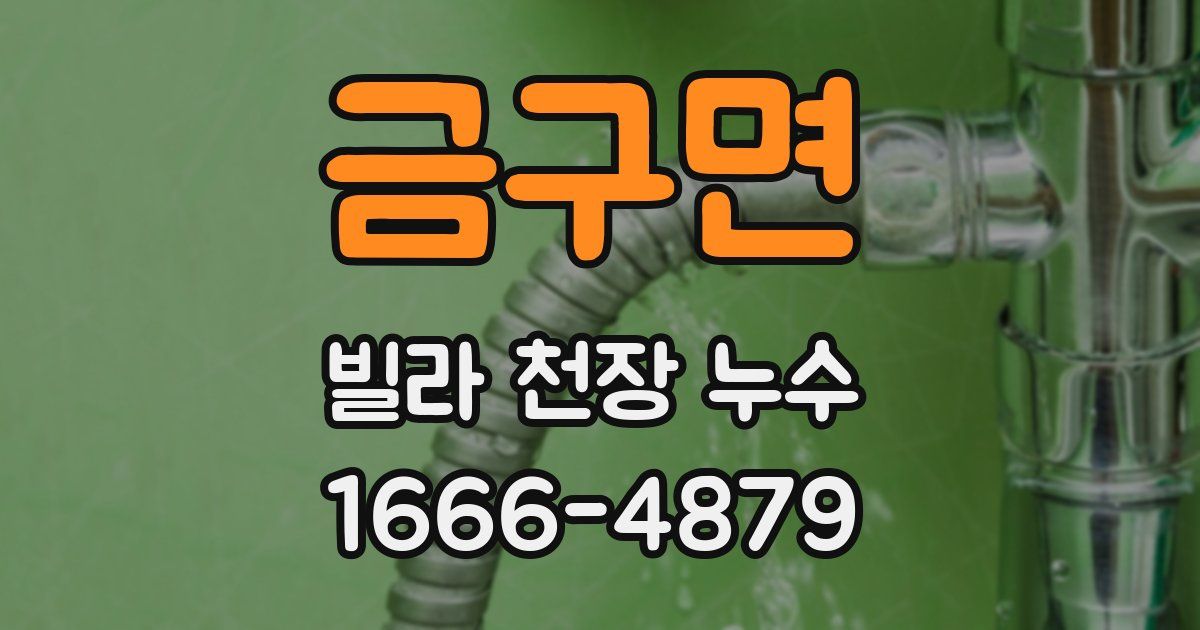 금구면 빌라 천장 누수