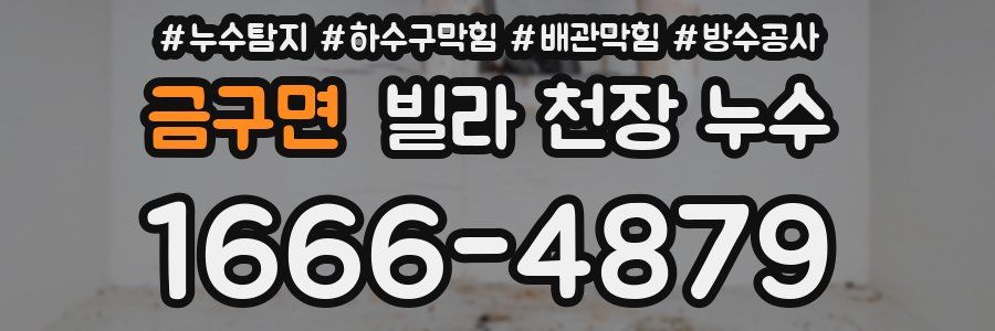 금구면 빌라 천장 누수