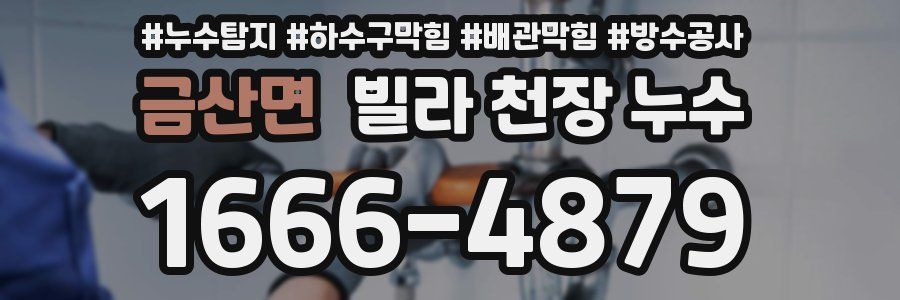 금산면 빌라 천장 누수