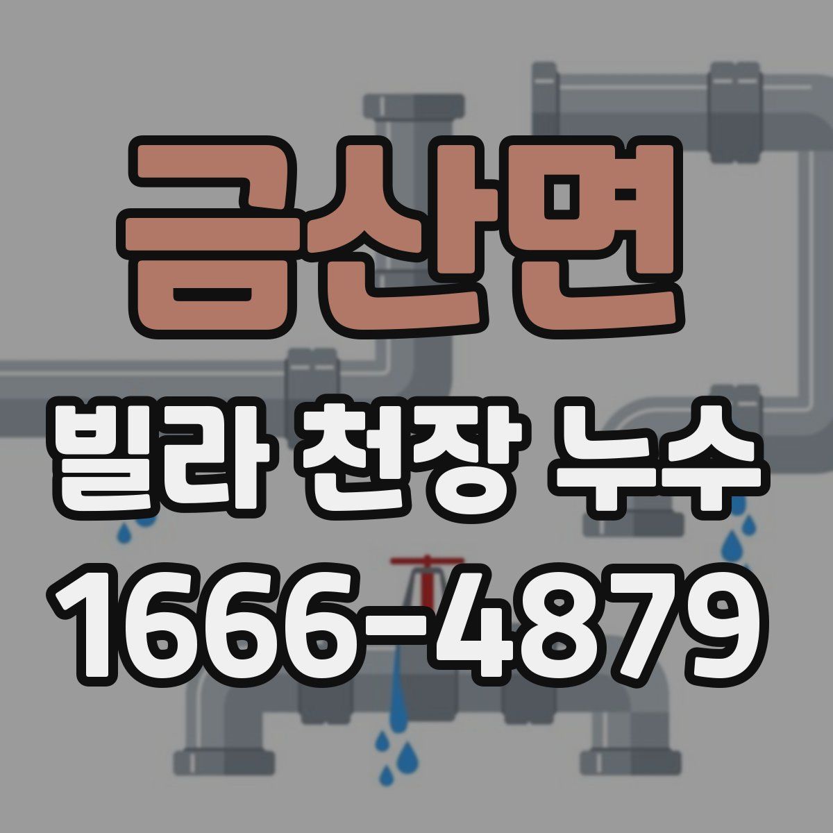 금산면 빌라 천장 누수