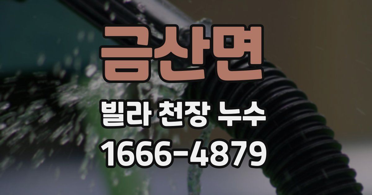 금산면 빌라 천장 누수