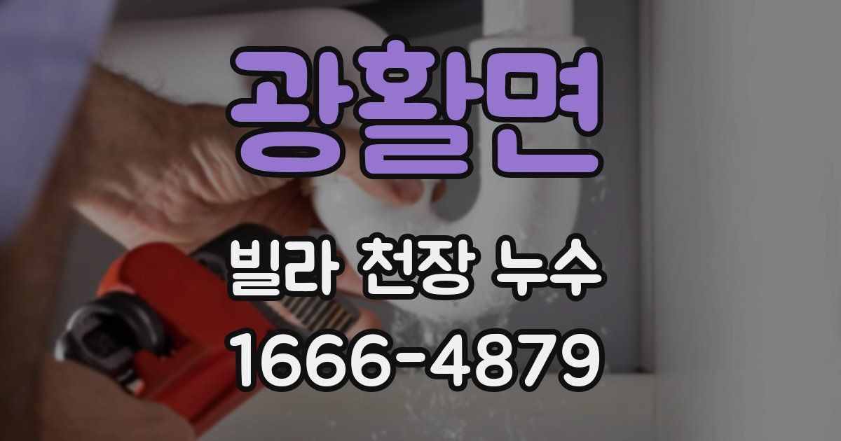 광활면 빌라 천장 누수