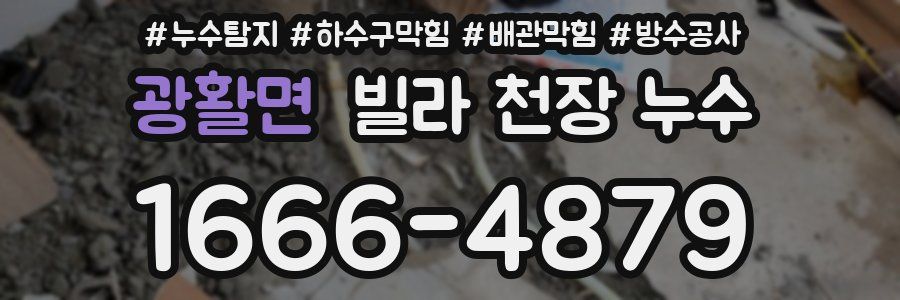 광활면 빌라 천장 누수
