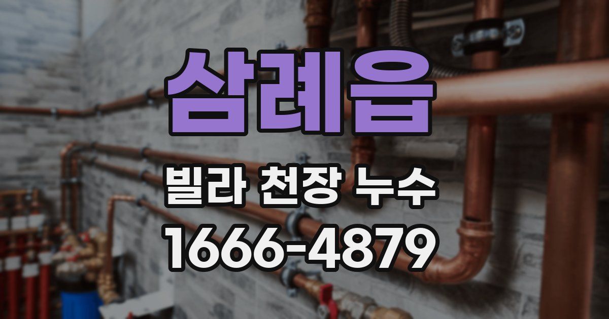 삼례읍 빌라 천장 누수