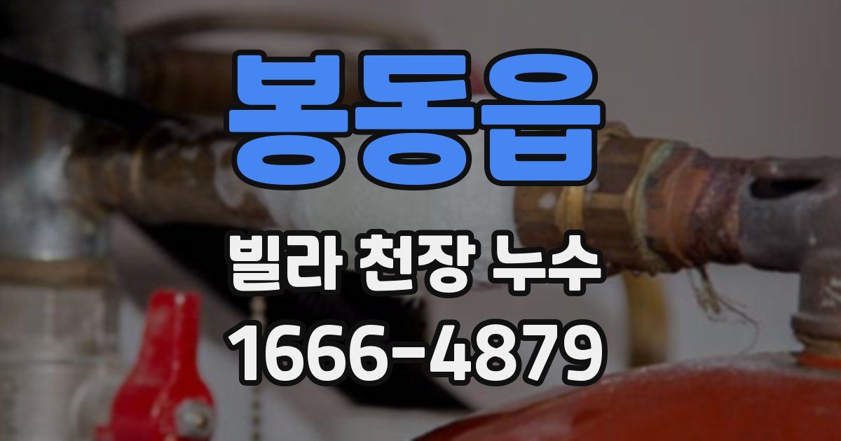 봉동읍 빌라 천장 누수