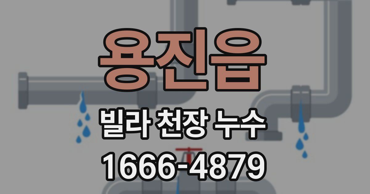 용진읍 빌라 천장 누수