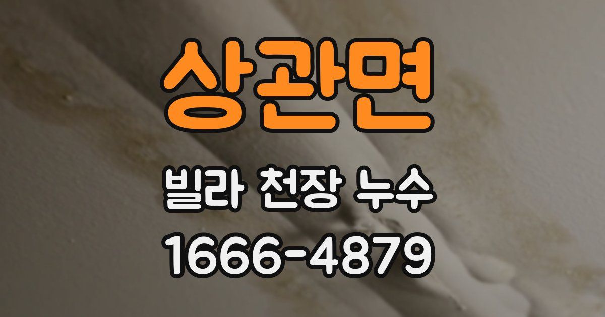 상관면 빌라 천장 누수