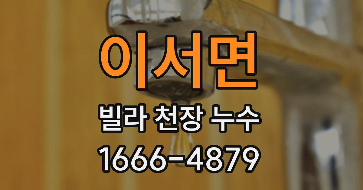 이서면 빌라 천장 누수