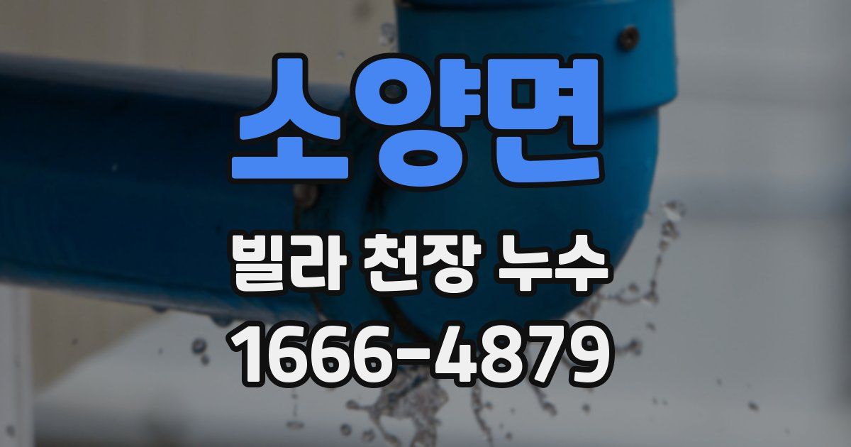 소양면 빌라 천장 누수
