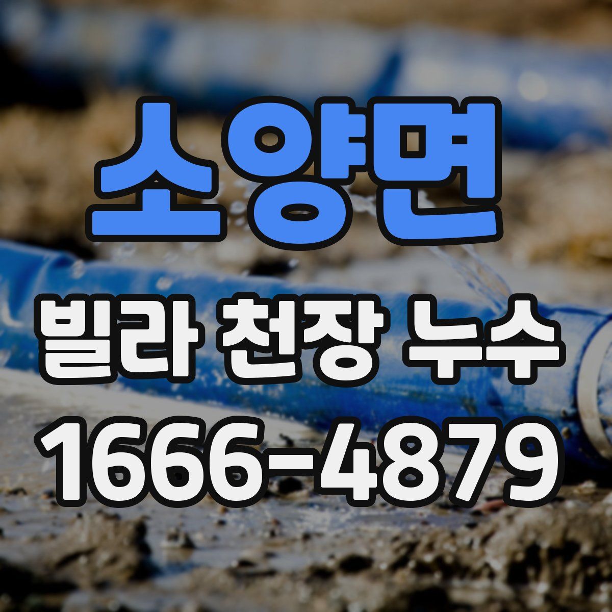 소양면 빌라 천장 누수
