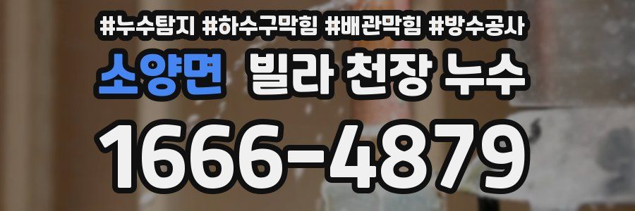 소양면 빌라 천장 누수