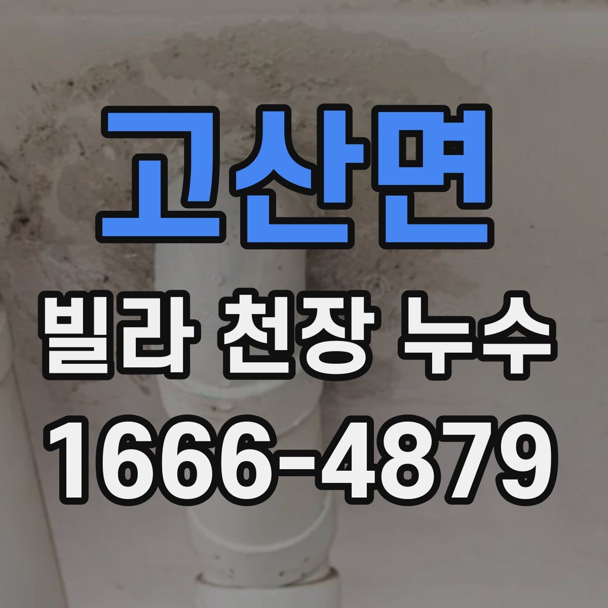 고산면 빌라 천장 누수