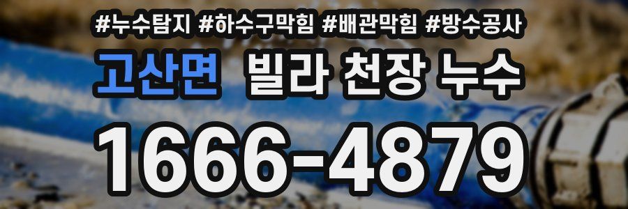 고산면 빌라 천장 누수