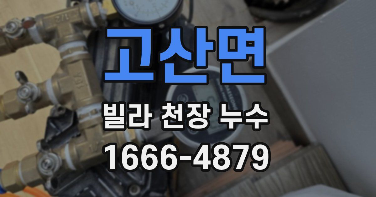 고산면 빌라 천장 누수