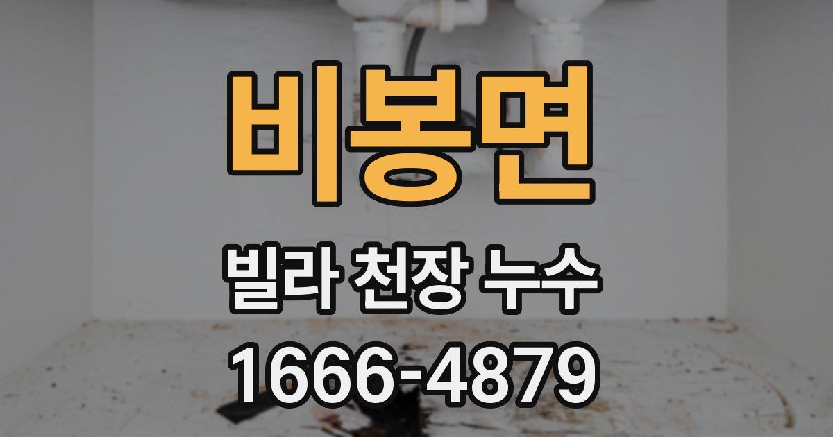 비봉면 빌라 천장 누수