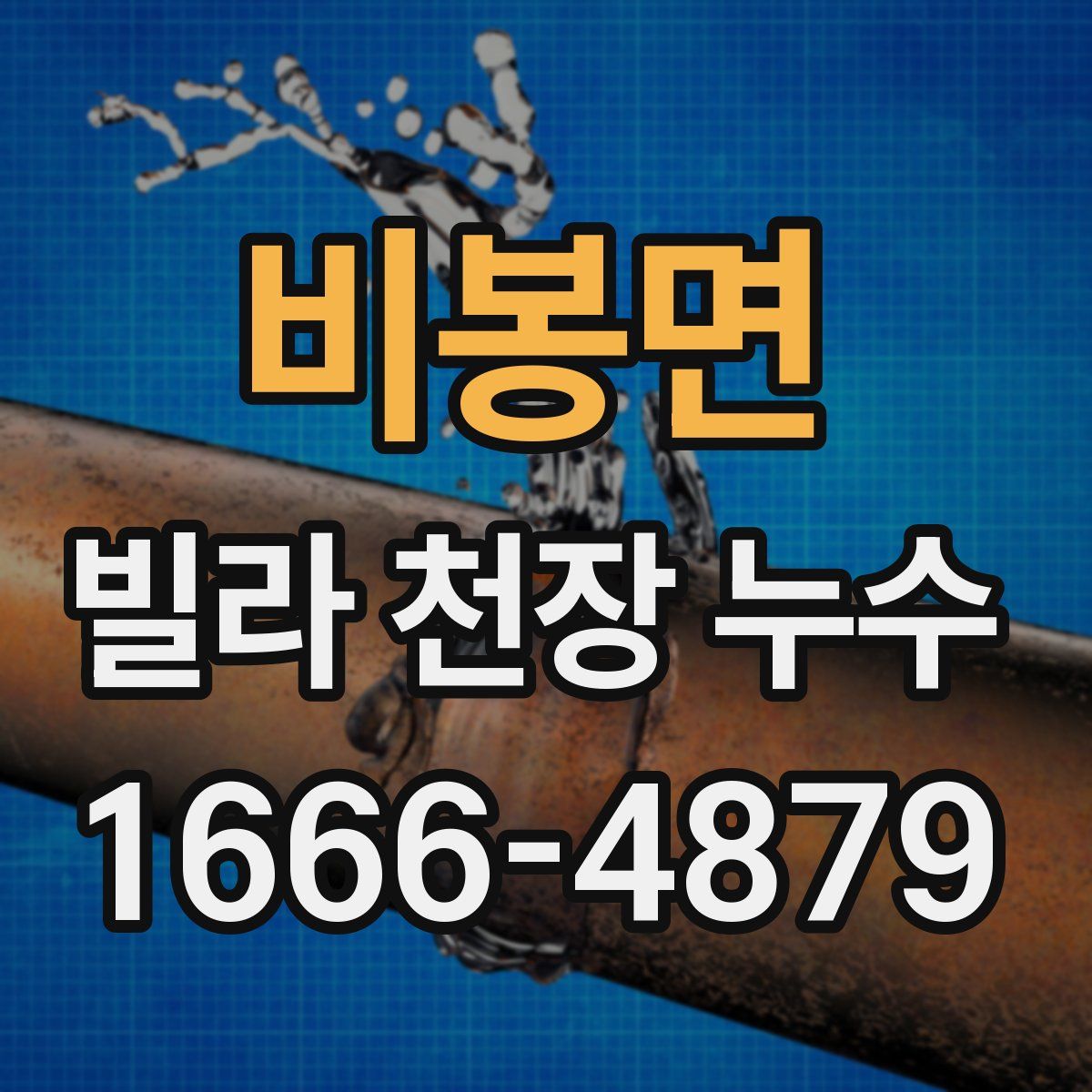 비봉면 빌라 천장 누수