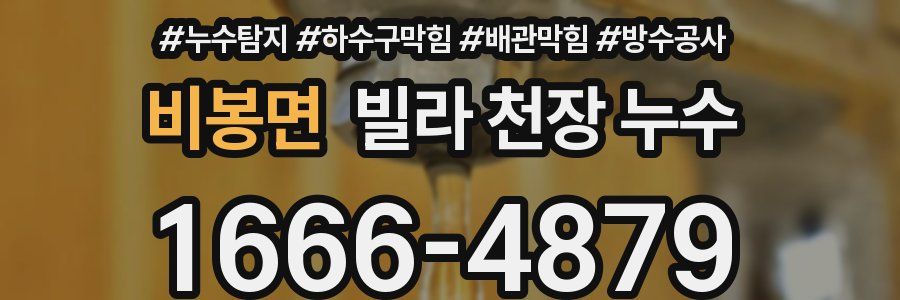 비봉면 빌라 천장 누수