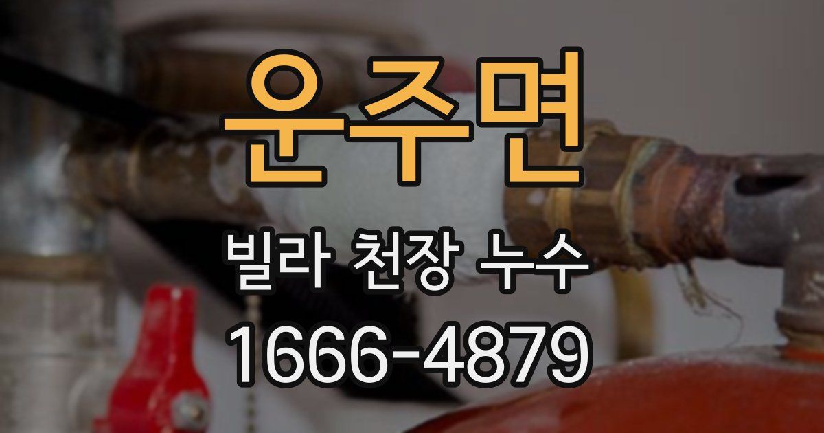운주면 빌라 천장 누수