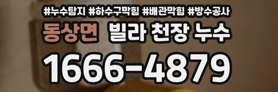 동상면 빌라 천장 누수