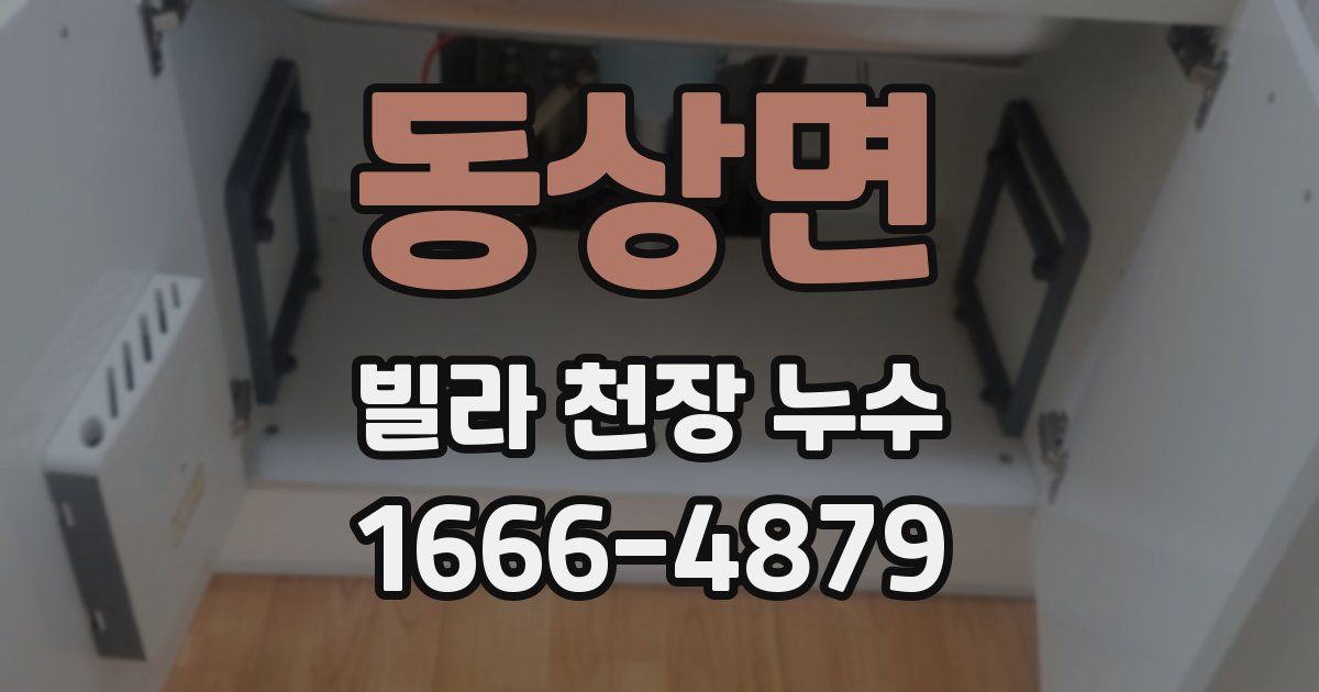동상면 빌라 천장 누수