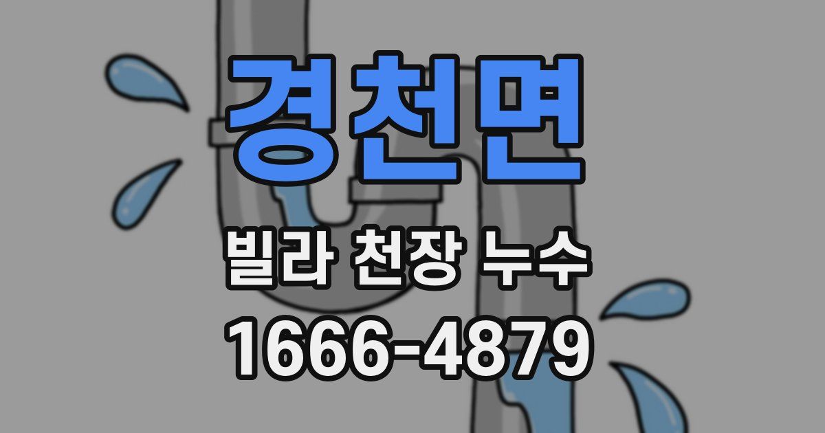 경천면 빌라 천장 누수