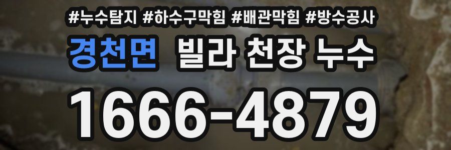 경천면 빌라 천장 누수