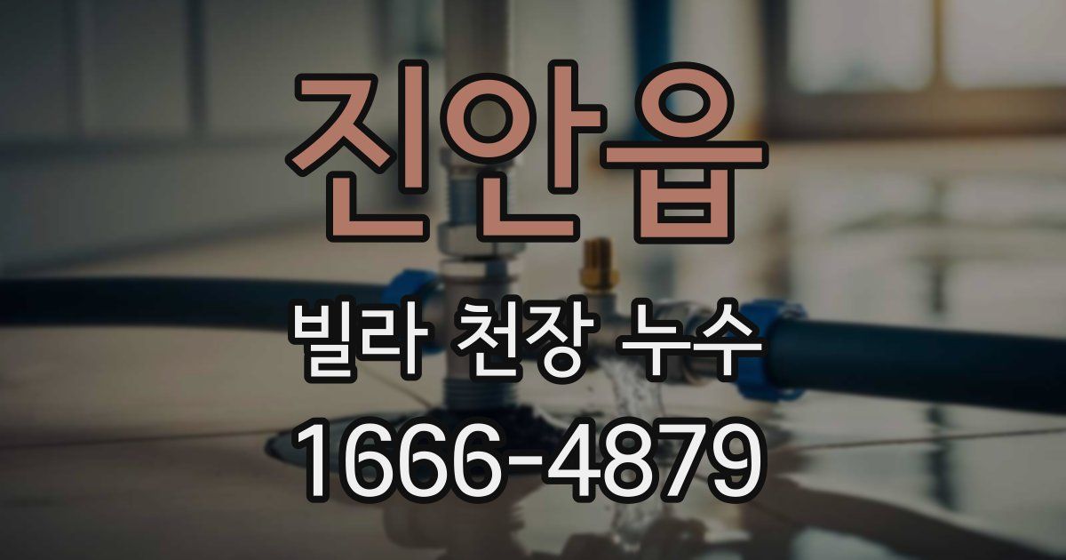 진안읍 빌라 천장 누수