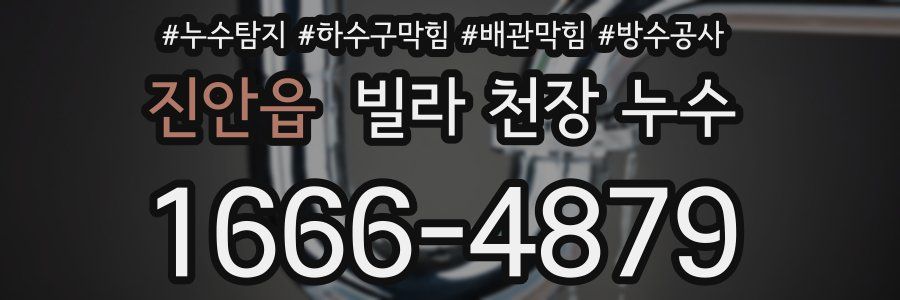 진안읍 빌라 천장 누수