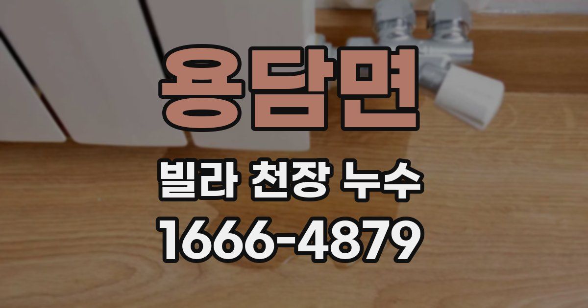 용담면 빌라 천장 누수