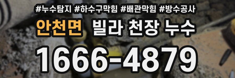 안천면 빌라 천장 누수