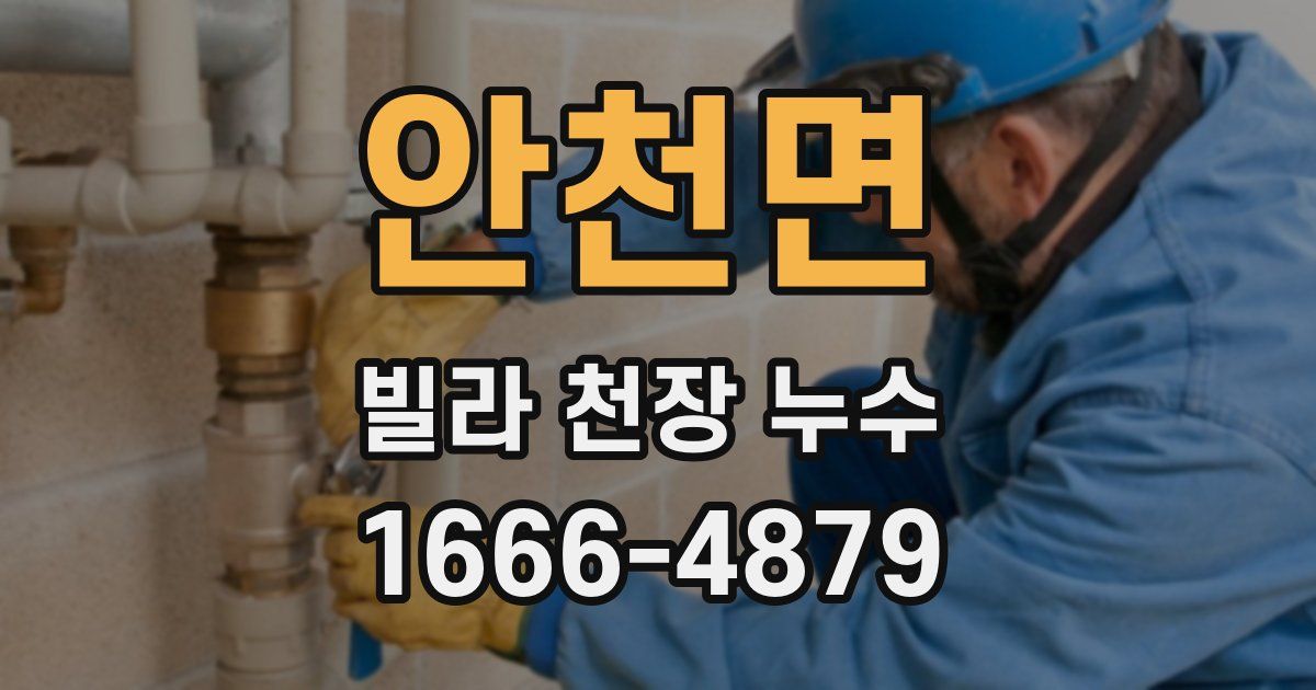 안천면 빌라 천장 누수