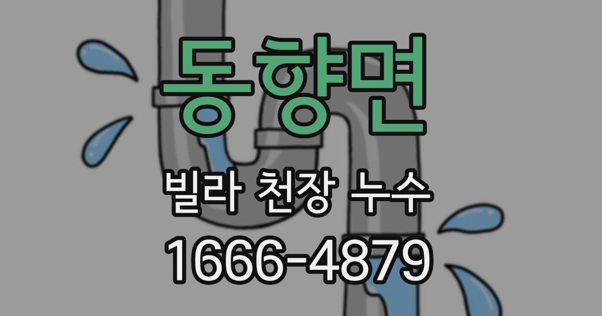 동향면 빌라 천장 누수