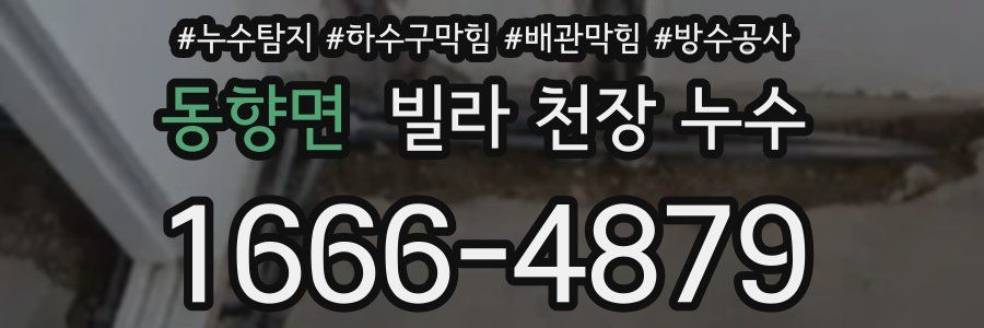 동향면 빌라 천장 누수