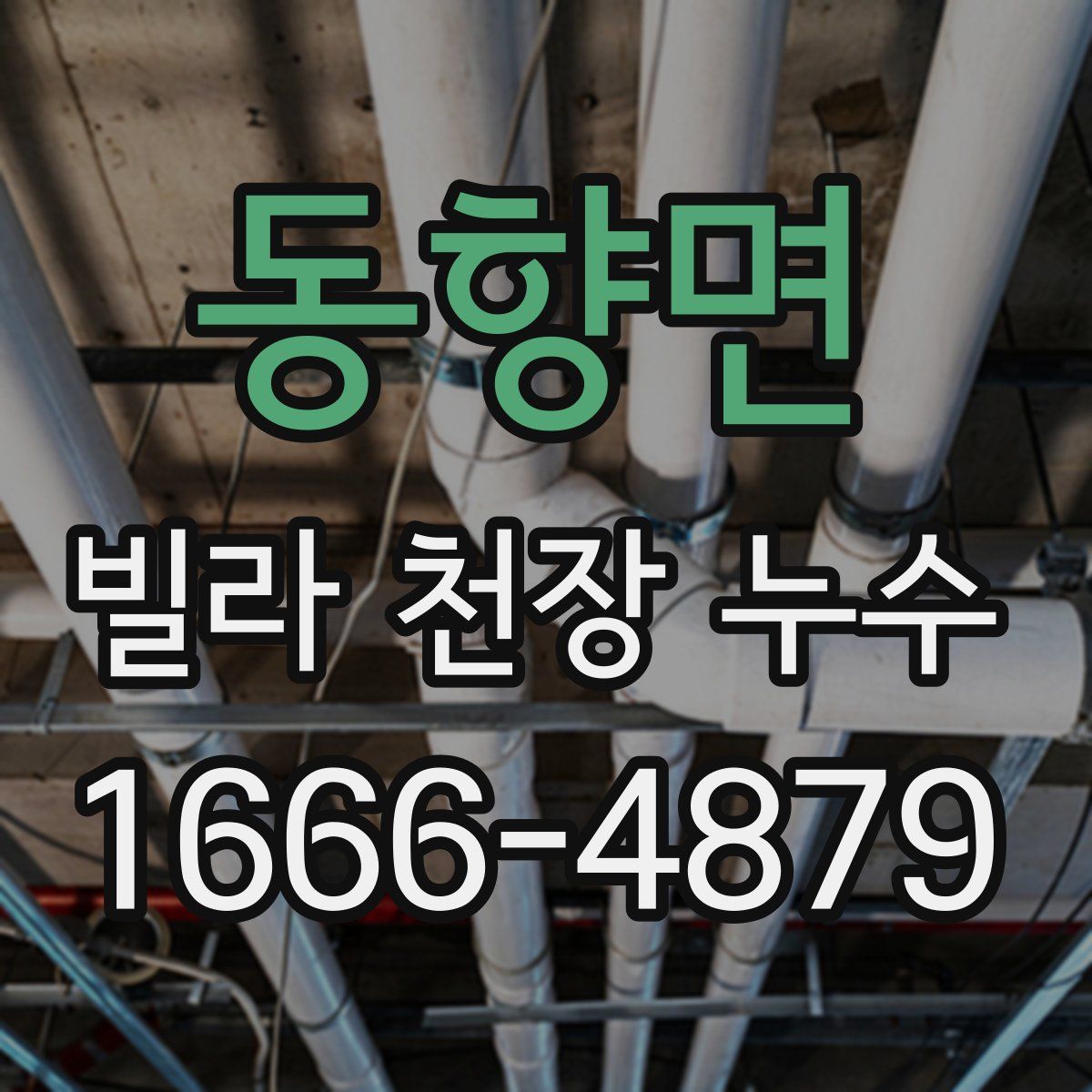 동향면 빌라 천장 누수