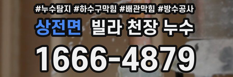 상전면 빌라 천장 누수