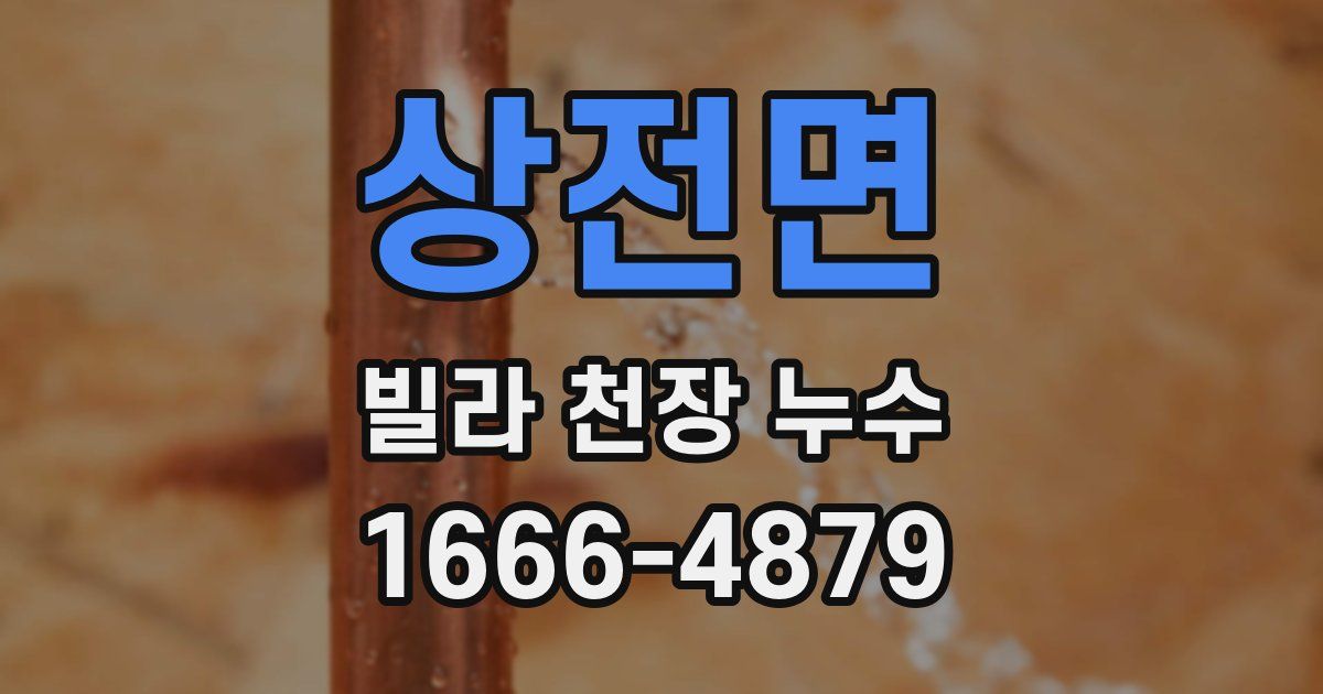상전면 빌라 천장 누수