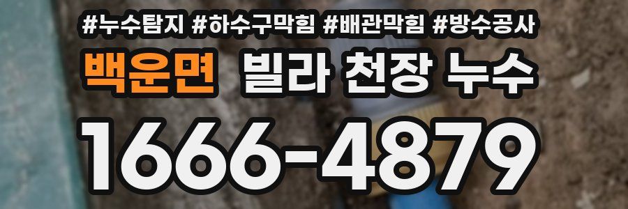 백운면 빌라 천장 누수
