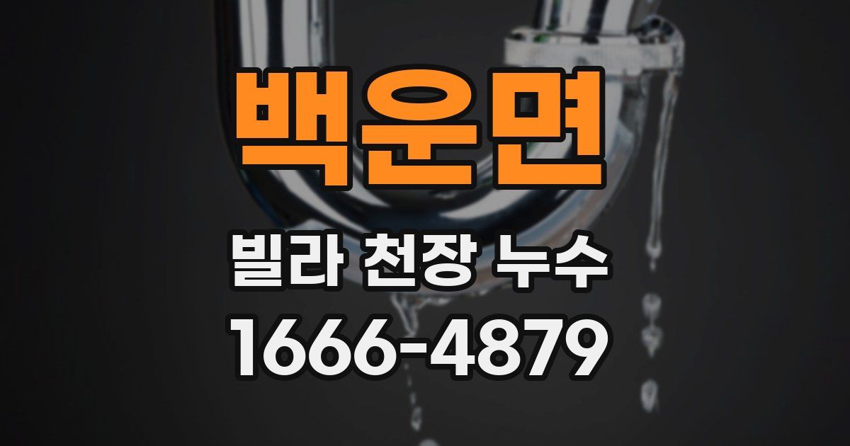 백운면 빌라 천장 누수