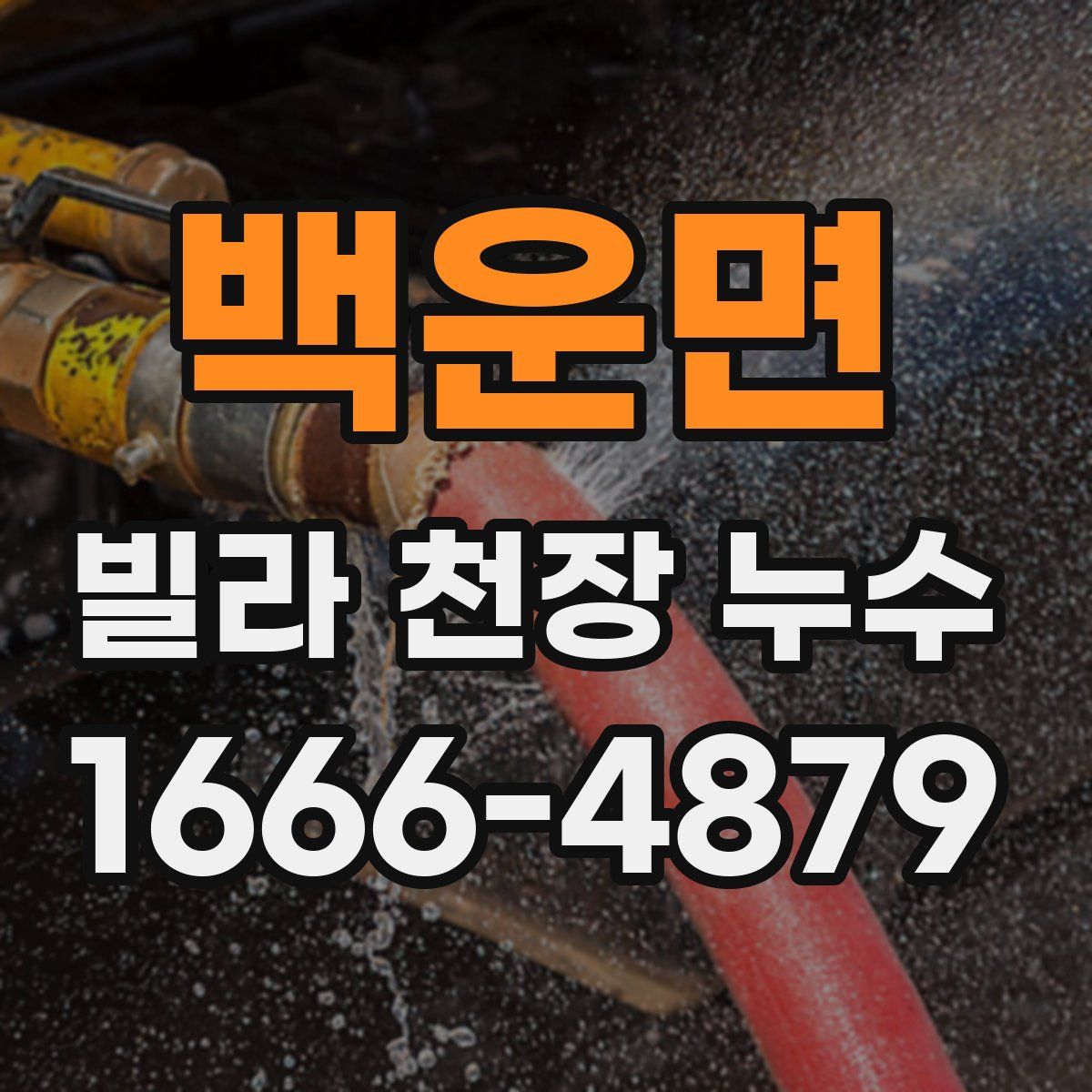 백운면 빌라 천장 누수