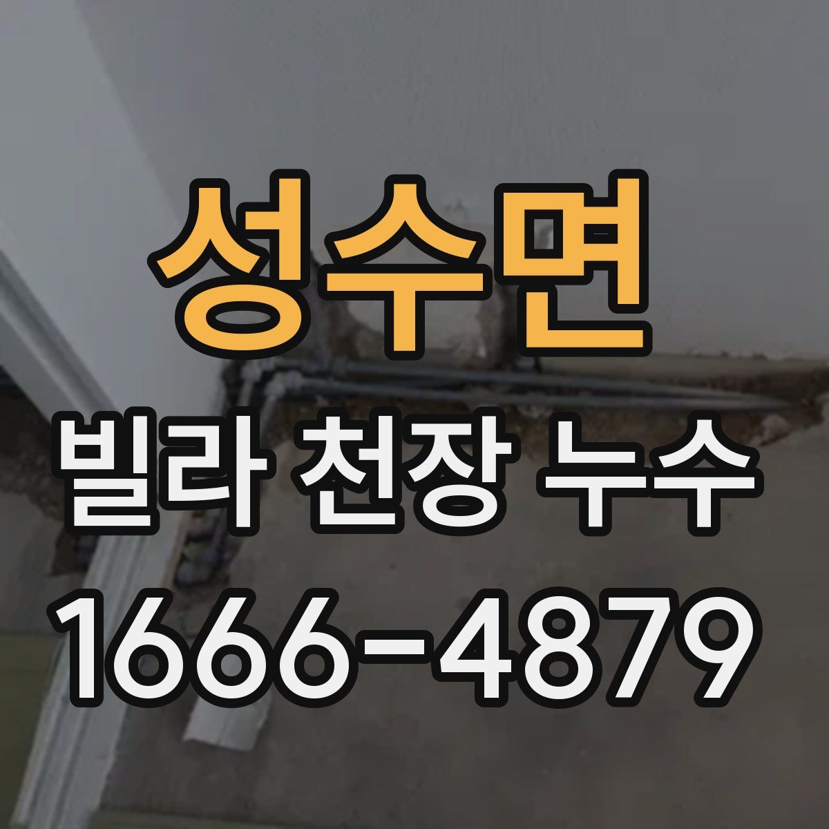 성수면 빌라 천장 누수